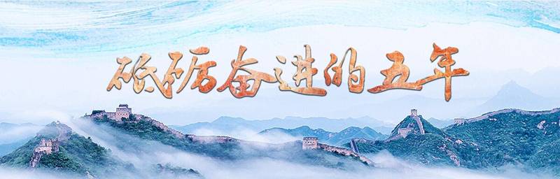 推进党的建设新的伟大工程的根本遵循——深入学习贯彻习近平总书记党建思想